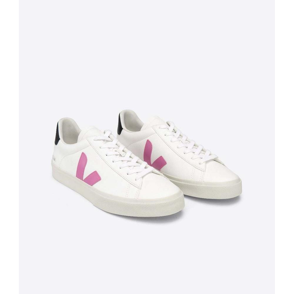 Veja CAMPO CHROMEFREE Low Tops Sneakers Dame White/Purple | NO 597FDN